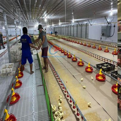 Nhà gà hiện đại Q235 Q345 Cấu trúc thép cho nông nghiệp hiệu quả