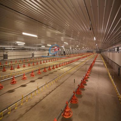 Tòa nhà thép kinh tế Xây dựng khung thép tùy chỉnh