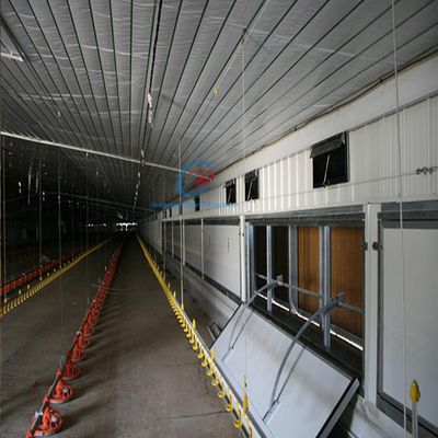 Quán gia cầm Cấu trúc thép, Q235 Q345 Cấu trúc thép cho gia súc