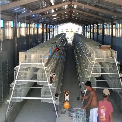 Cấu trúc thép tùy chỉnh Nhà gia cầm chống cháy cho trang trại sữa