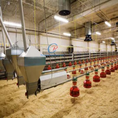 Cấu trúc thép Prefab Ngôi nhà gia cầm Thép khung tùy chỉnh Chicken Coop