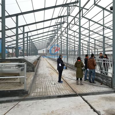 Cấu trúc thép nhẹ Bùi bò Cấu trúc thép chế tạo sẵn Tòa nhà nông trại