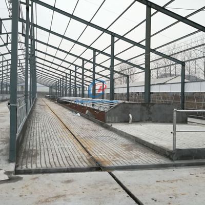 Xây dựng khung thép bền xây dựng khung thép tùy chỉnh Xây dựng trang trại