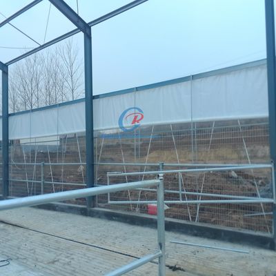 Xây dựng nhà kho thép kim loại, nhà kho thép chế tạo sẵn cho trang trại sữa