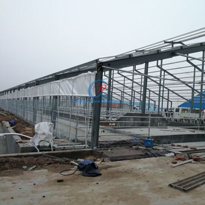 Cấu trúc thép chế tạo sẵn Căn lều bò Căn lồng thép tùy chỉnh