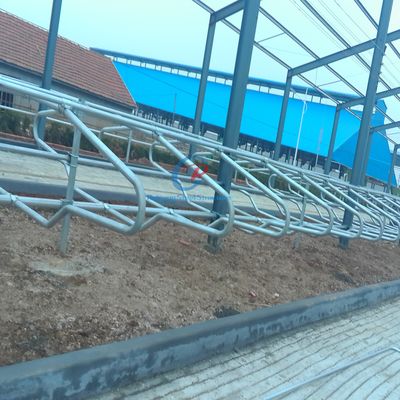 Cấu trúc thép hiện đại Bùi bò Cấu trúc thép bền vững Tòa nhà trang trại