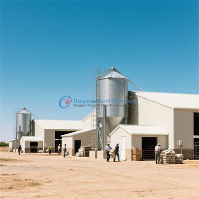 Cấu trúc thép Prefab Ngôi nhà gia cầm Thép khung tùy chỉnh Chicken Coop